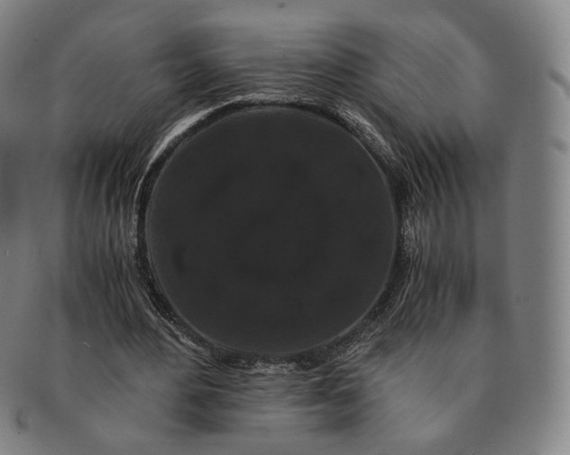 X0000091240484200708301542