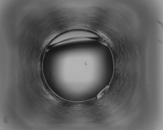 X0000091240485200708301542