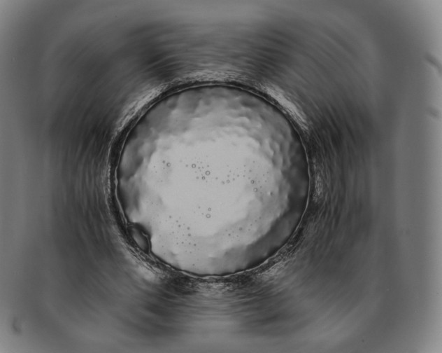 X0000091240486200708301542