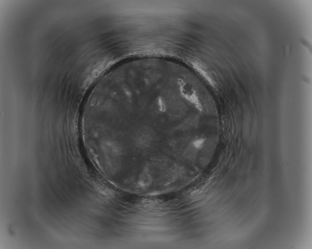 X0000091240487200708301542