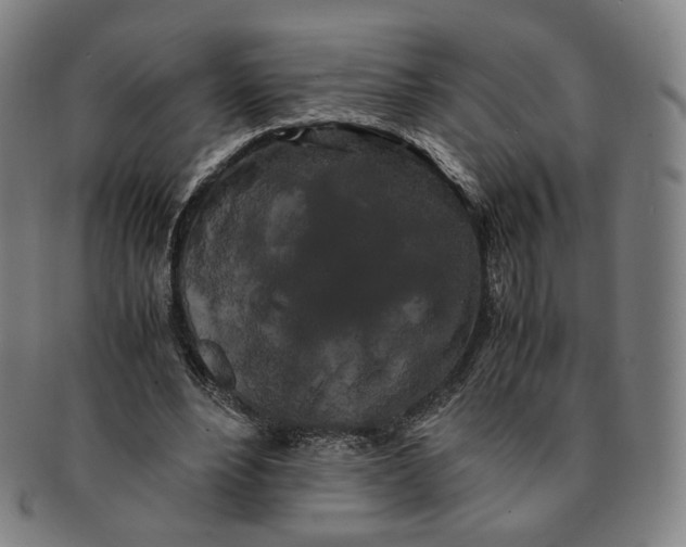 X0000091240488200708301542