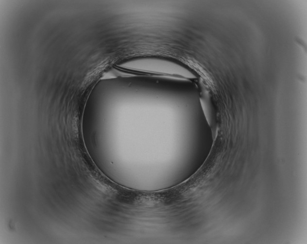 X0000091240489200708301542