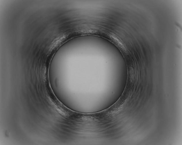 X0000091240490200708301542