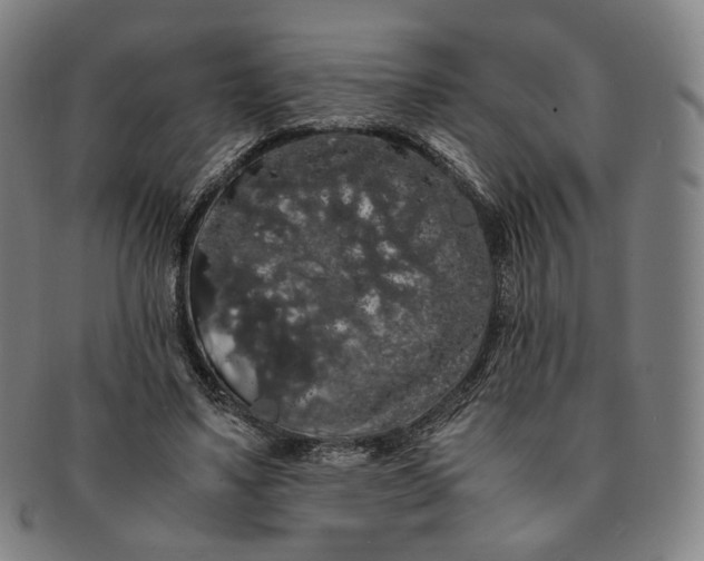 X0000091240491200708301542