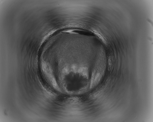 X0000091240492200708301542