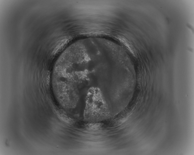 X0000091240495200708301542