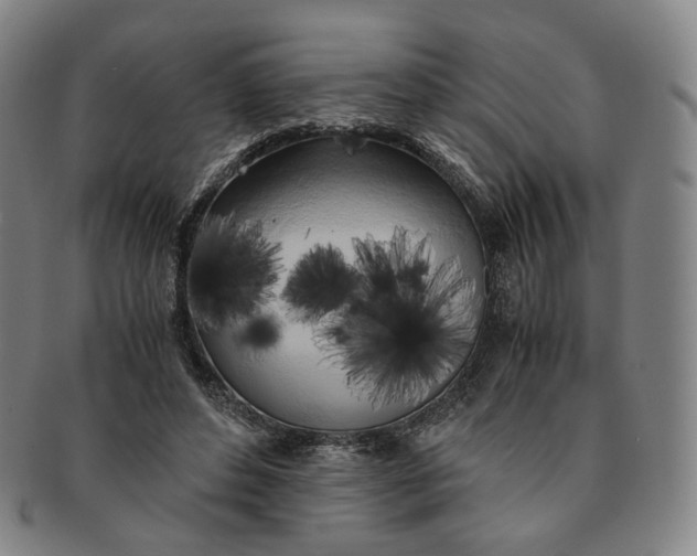 X0000091240496200708301542