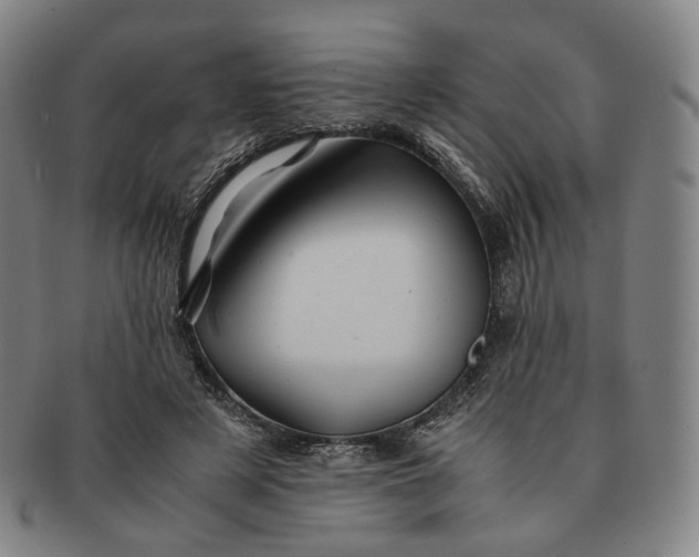 X0000091240497200708301542