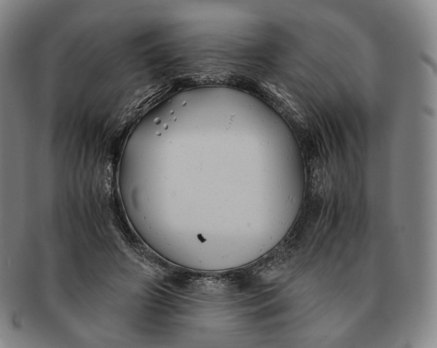 X0000091240498200708301542