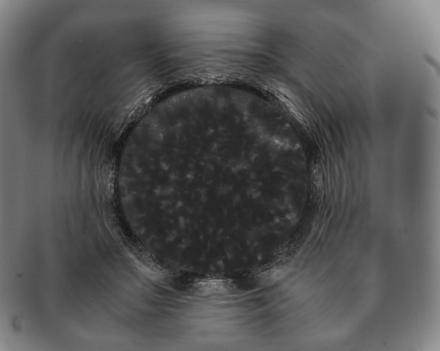 X0000091240499200708301542