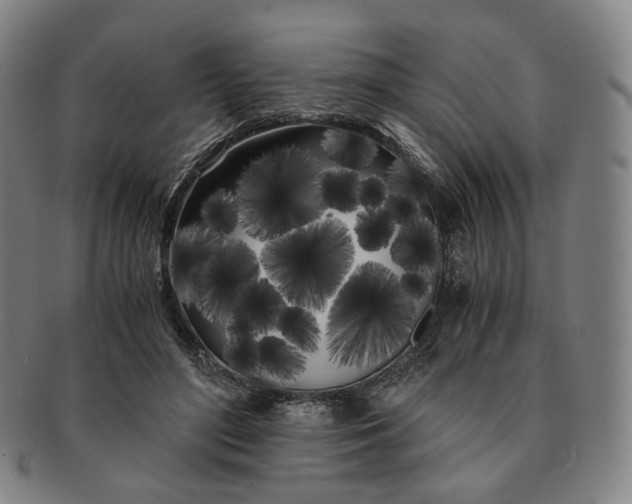 X0000091240500200708301542