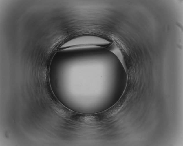 X0000091240501200708301542