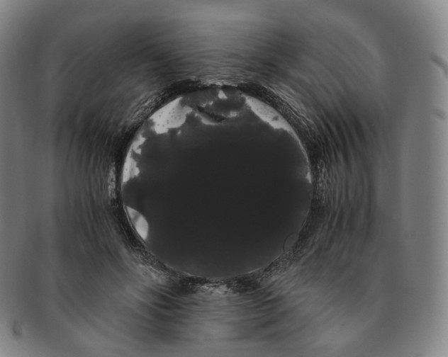 X0000091240502200708301542