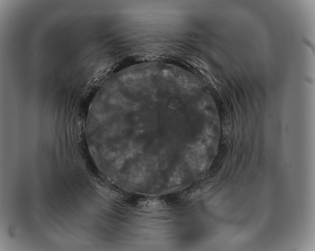 X0000091240503200708301542