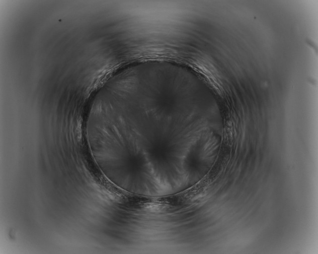 X0000091240504200708301542