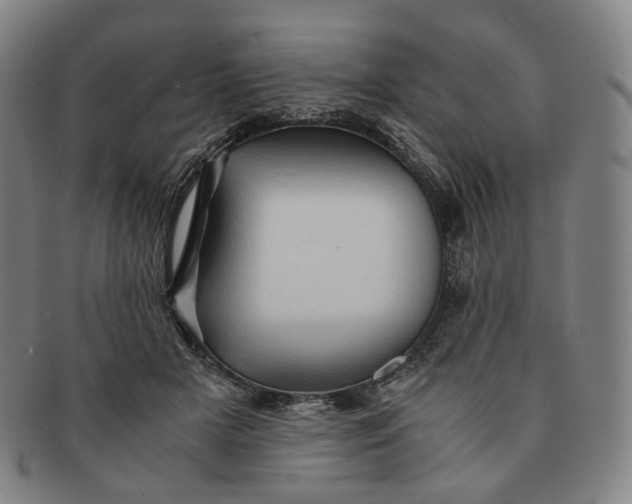 X0000091240505200708301542