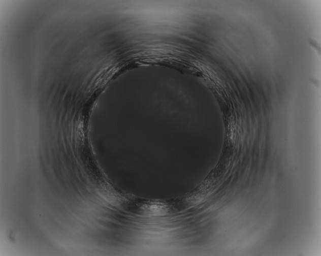 X0000091240506200708301542