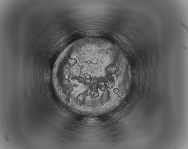 X0000091240507200708301542