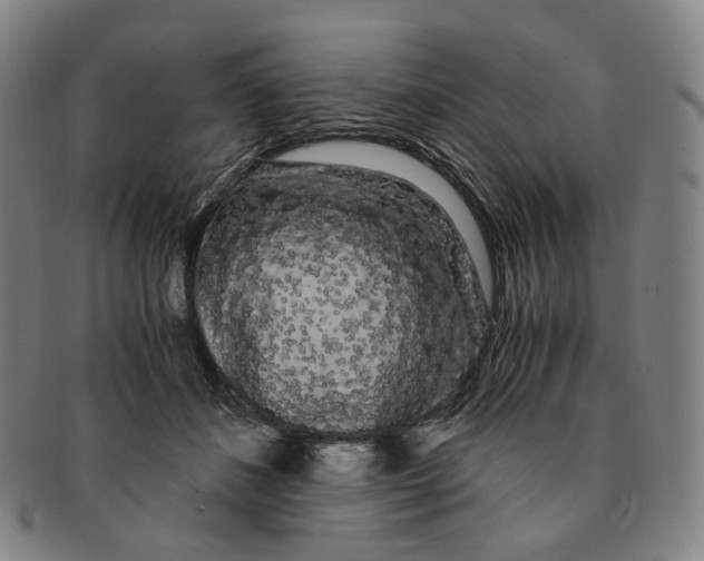 X0000091240508200708301542