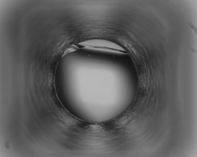 X0000091240509200708301542