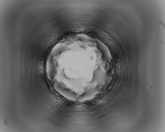 X0000091240510200708301542