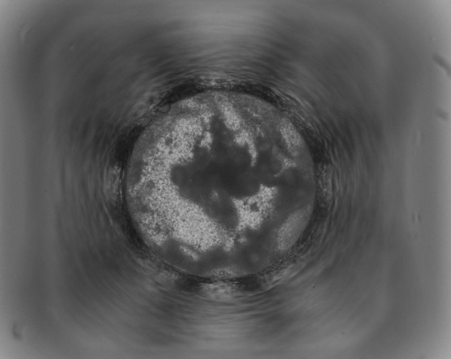 X0000091240511200708301542