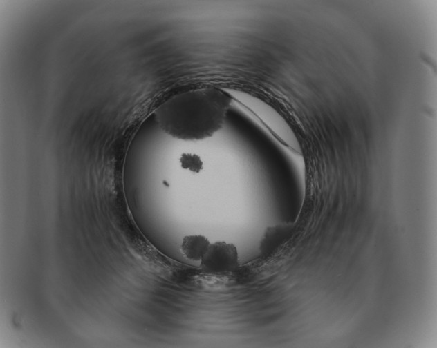 X0000091240512200708301542