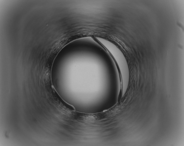 X0000091240513200708301542