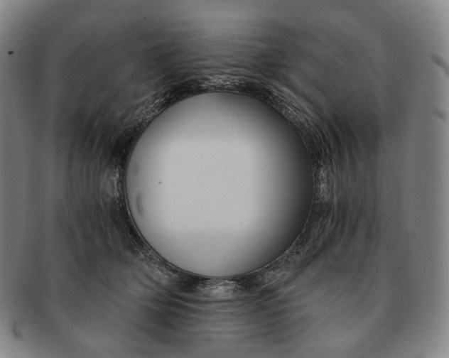 X0000091240514200708301542