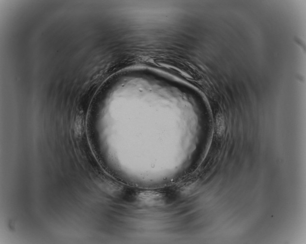 X0000091240515200708301542