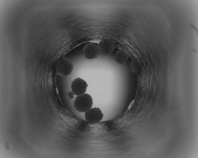 X0000091240516200708301542