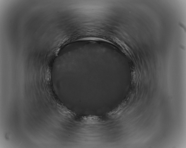 X0000091240517200708301542