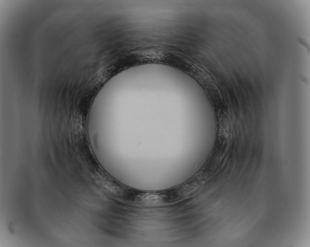 X0000091240518200708301542