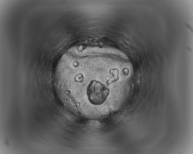 X0000091240519200708301542