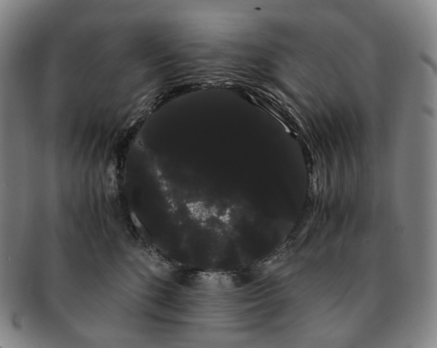 X0000091240520200708301542