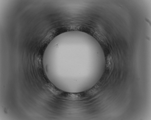 X0000091240522200708301541