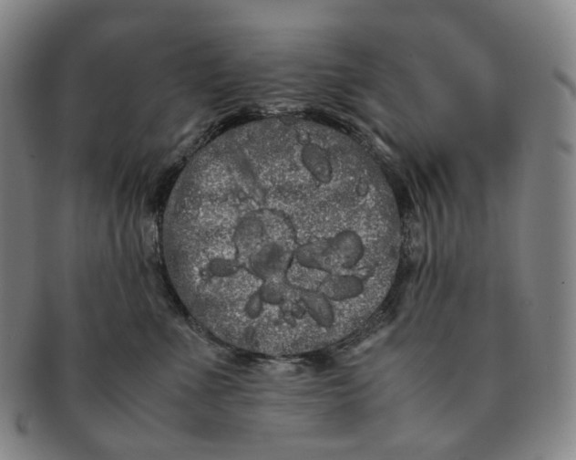 X0000091240523200708301541