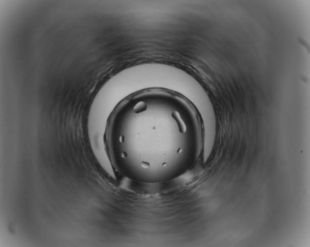 X0000091240524200708301541