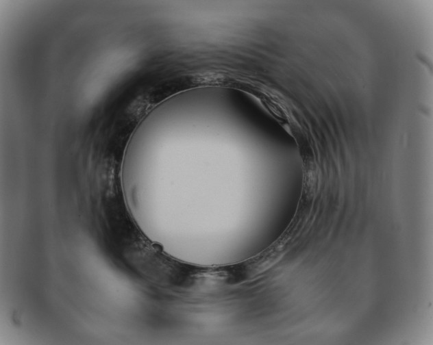 X0000091240525200708301541