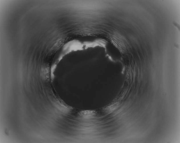 X0000091240526200708301541