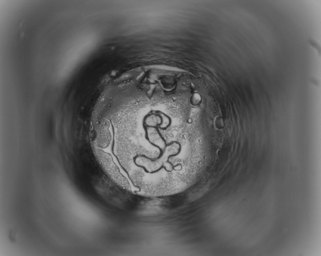 X0000091240527200708301541