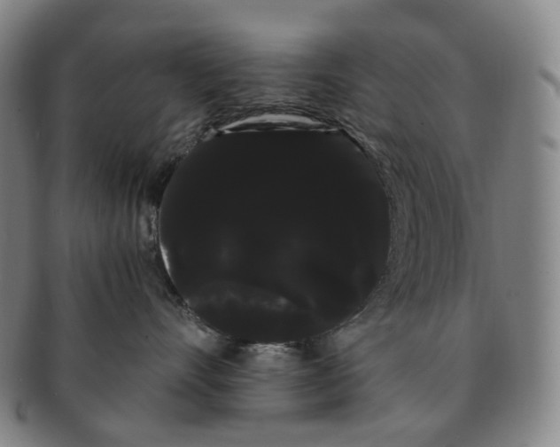 X0000091240528200708301541