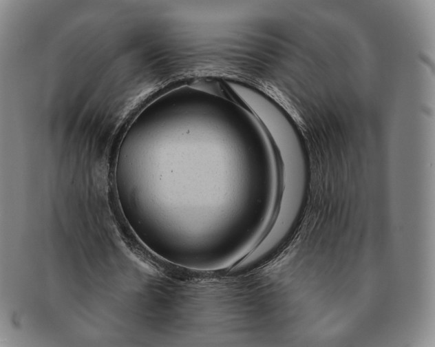 X0000091240530200708301541