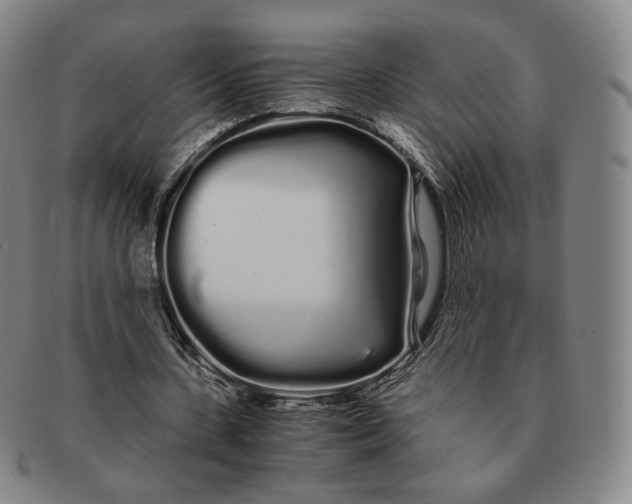 X0000091240531200708301541