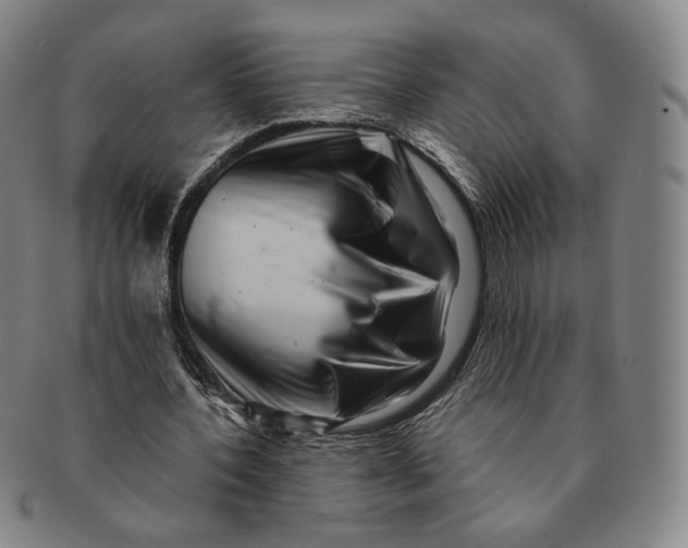 X0000091240532200708301541