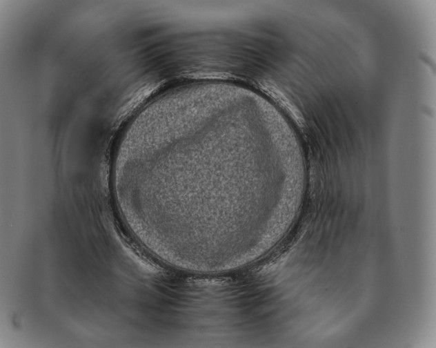 X0000091240533200708301541