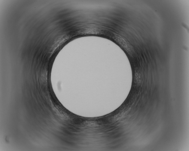 X0000091240534200708301541