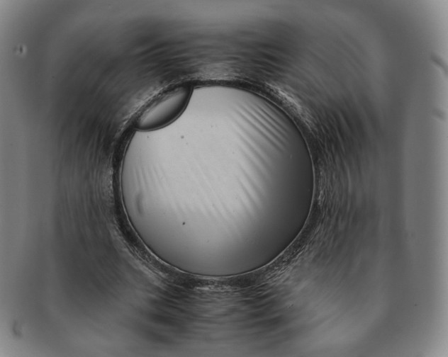 X0000091240535200708301541