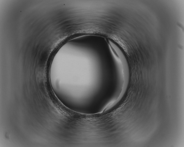 X0000091240536200708301541