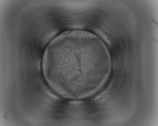 X0000091240537200708301541